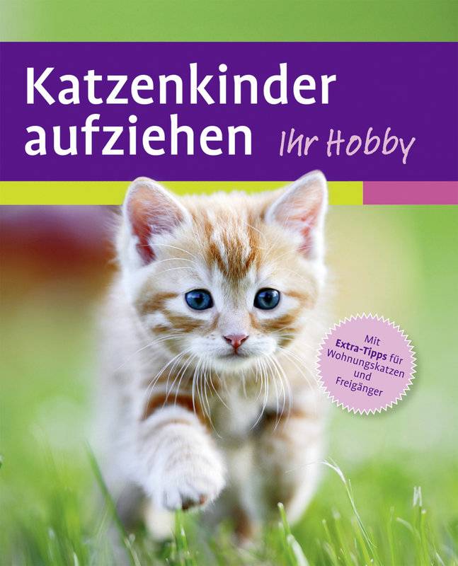 Katzenkinder aufziehen Ein praktischer Ratgeber für das erste Lebensjahr