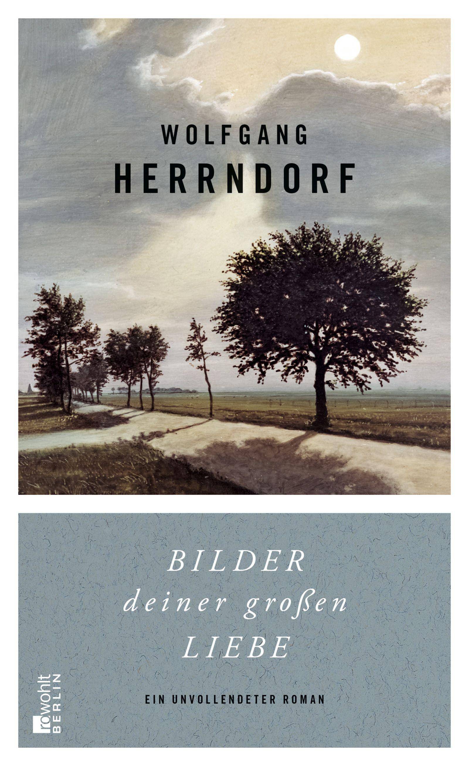 Bilder deiner großen Liebe Ein unvollendeter Roman