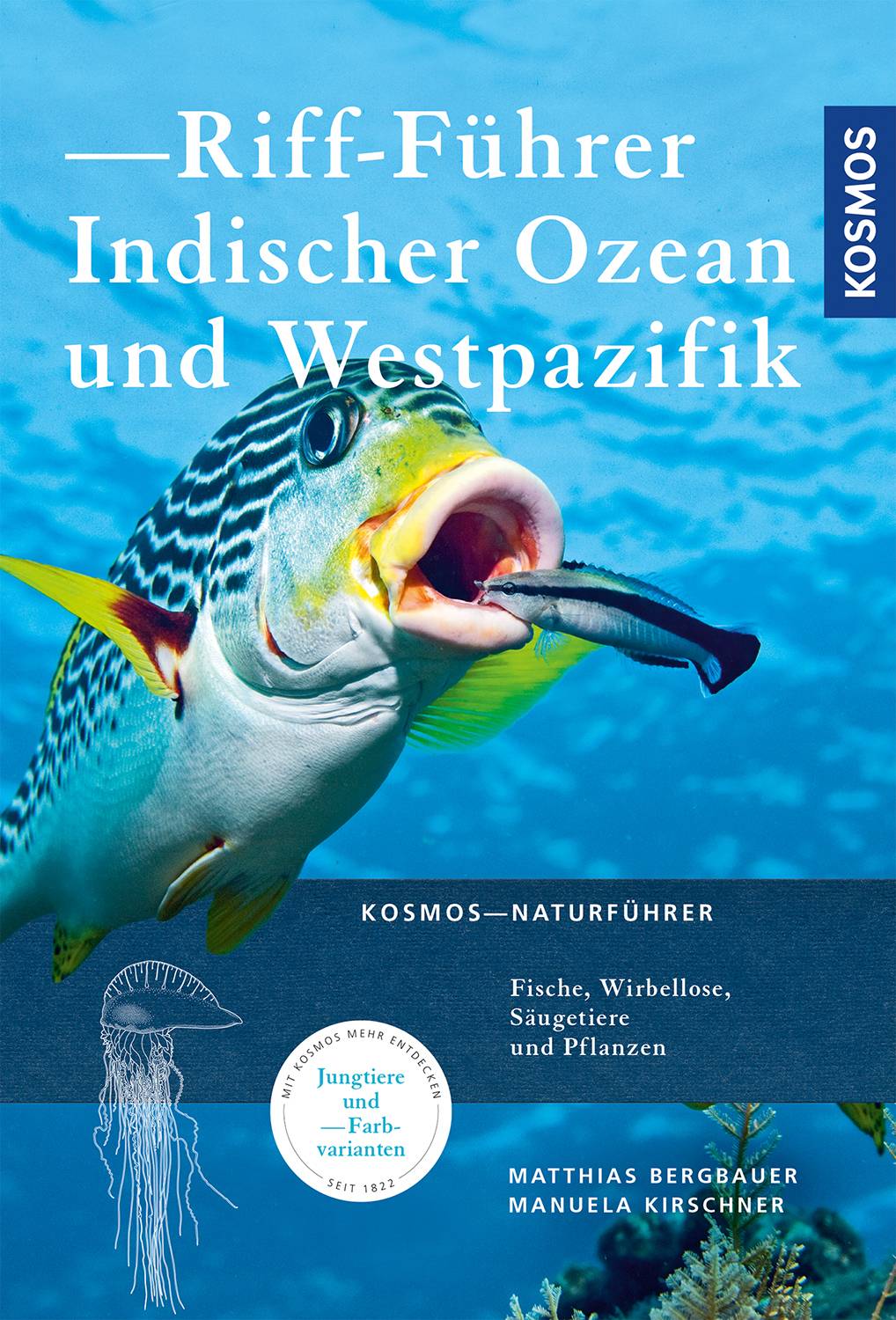 Riff-Führer Indischer Ozean und Westpazifik Fische, Wirbellose, Säugetiere und Pflanzen