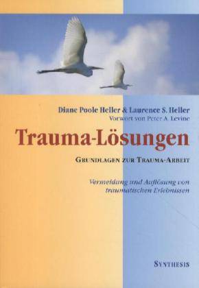 Trauma-Lösungen Grundlagen zur Trauma-Arbeit
