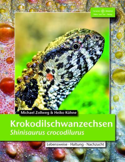 Krokodilschwanzechse Shinisaurus crocodilurus