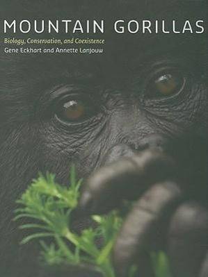 Mountain Gorillas Biology, Conservation, and Coexistence