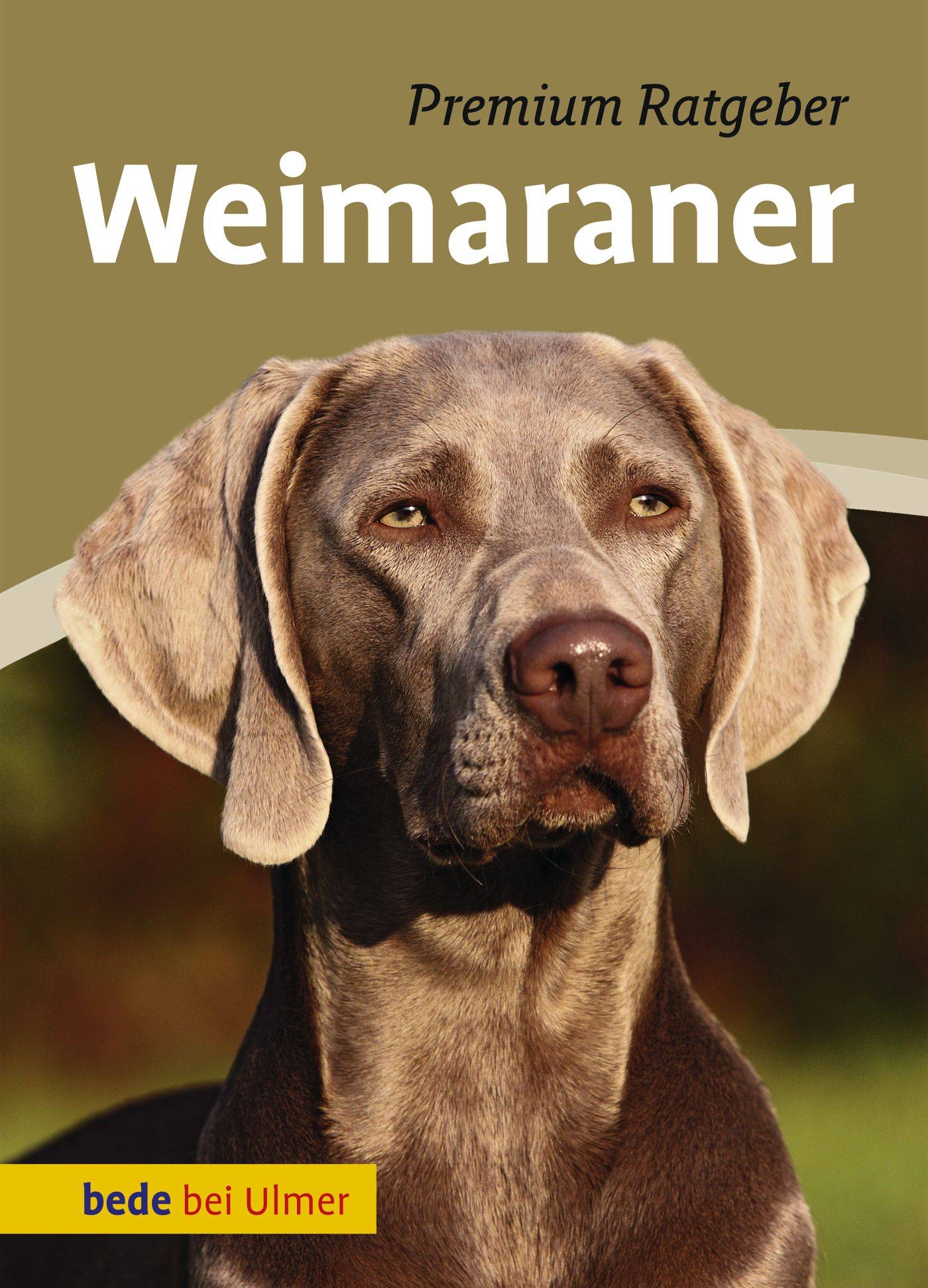 Weimaraner Premium Ratgeber