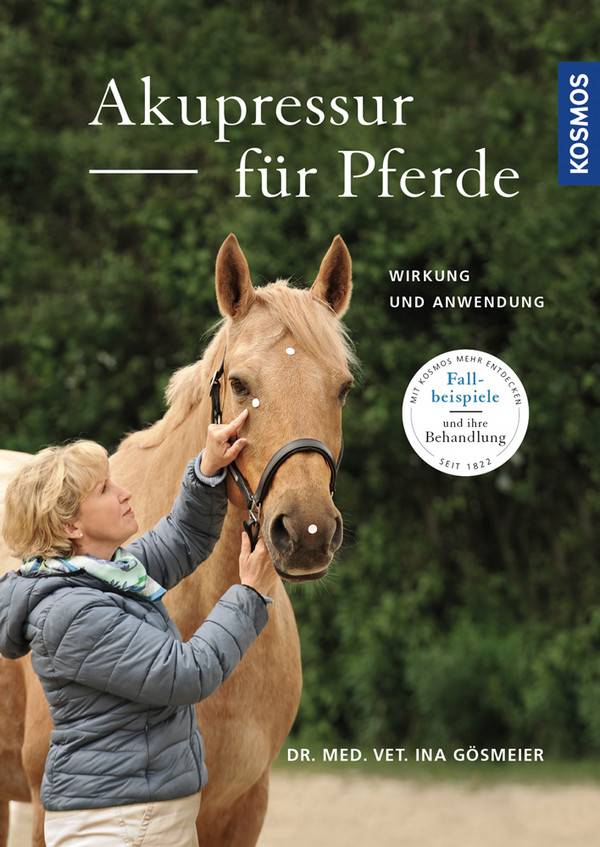 Akupressur für Pferde Wirkung und Anwendung