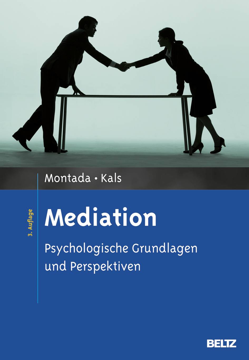 Mediation Psychologische Grundlagen und Perspektiven