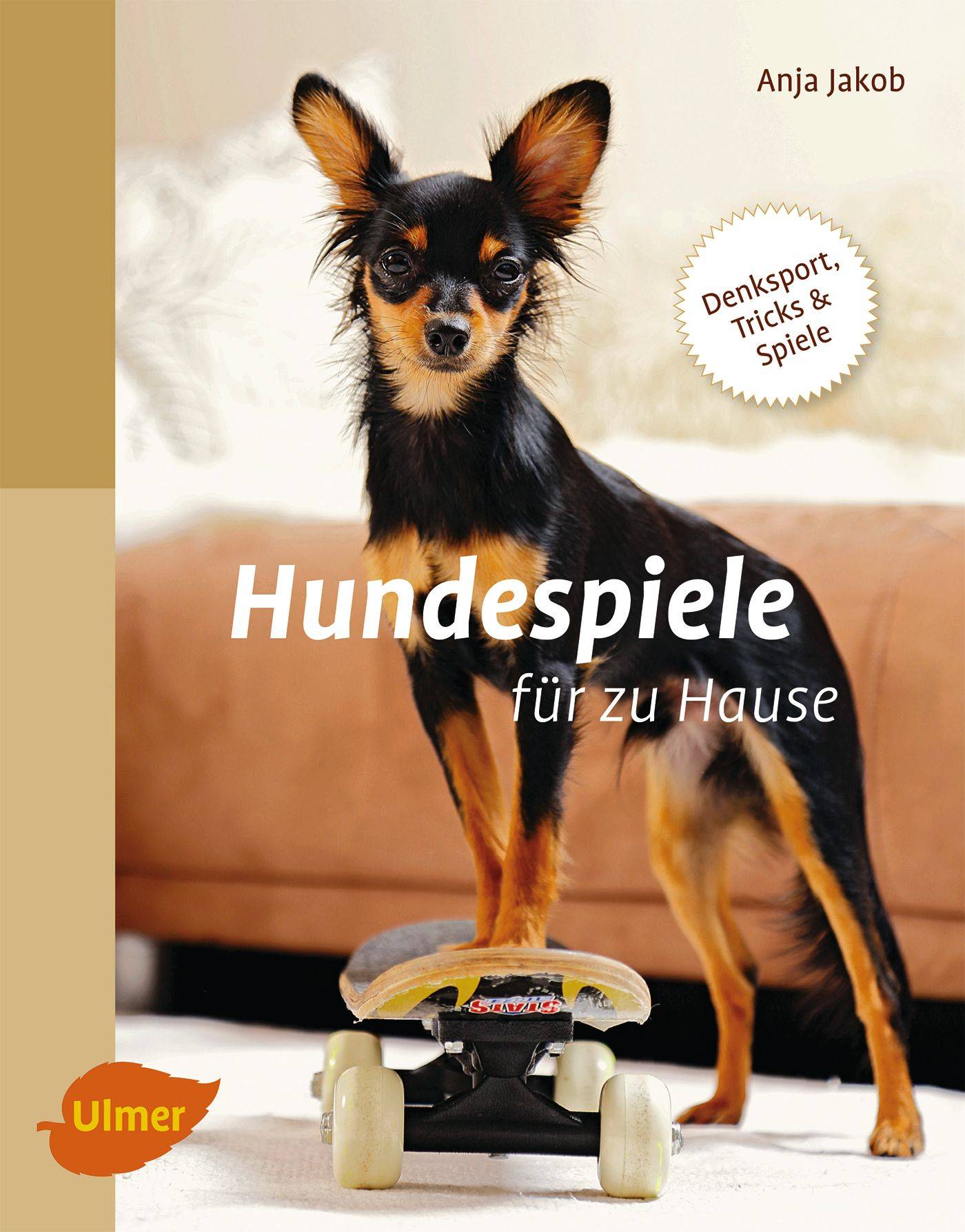 Hundespiele für zu Hause Denksport, Tricks und Spiele