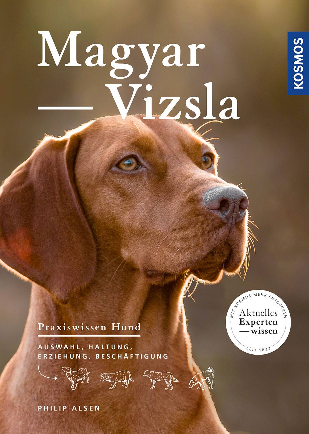 Magyar Vizsla Auswahl, Haltung, Erziehung, Beschäftigung, Praxiswissen Hund