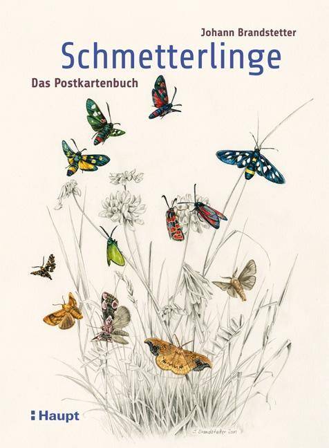 Schmetterlinge - Das Postkartenbuch 40 Ansichtskarten, Edition Postkartenbücher