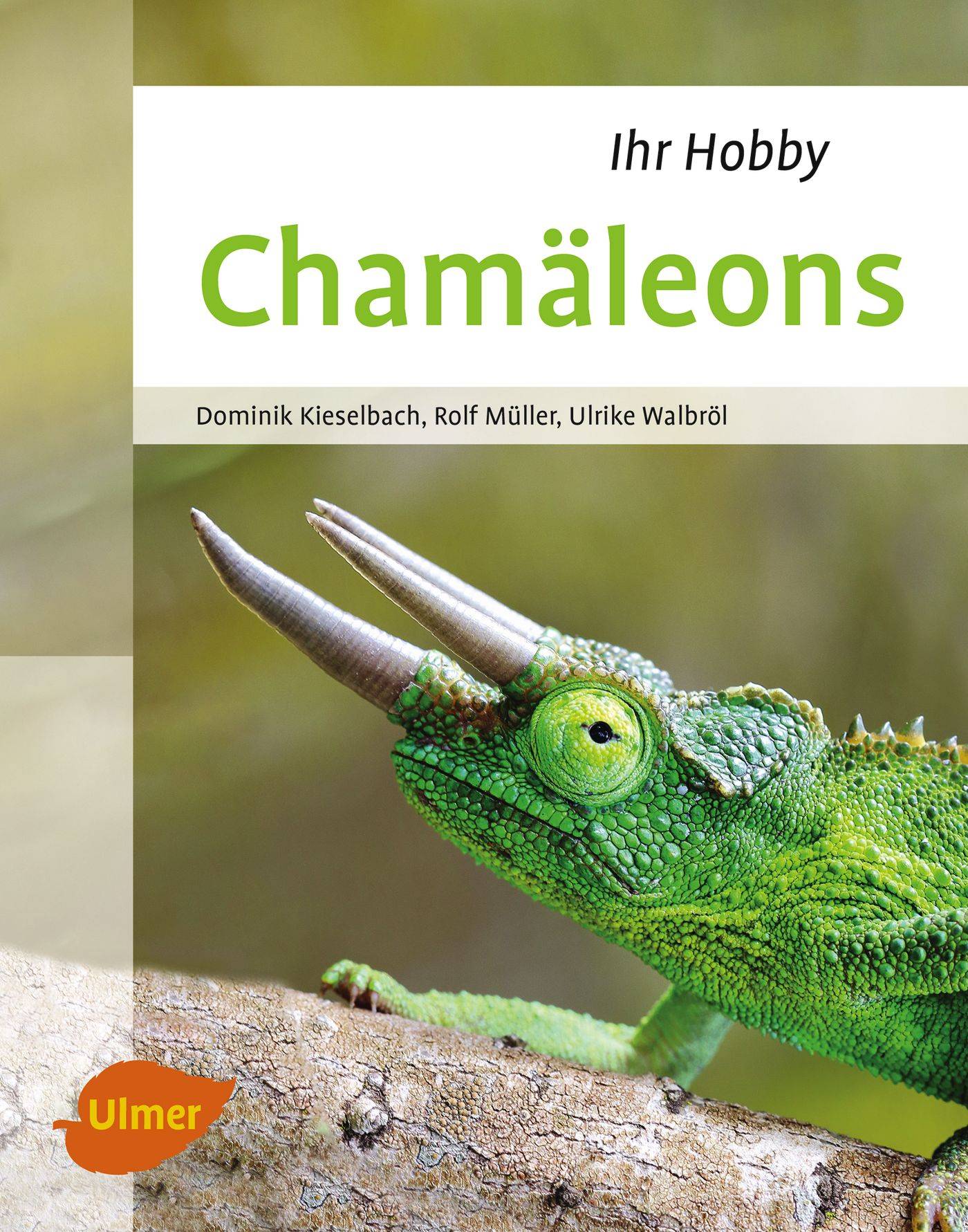 Chamäleons Ihr Hobby