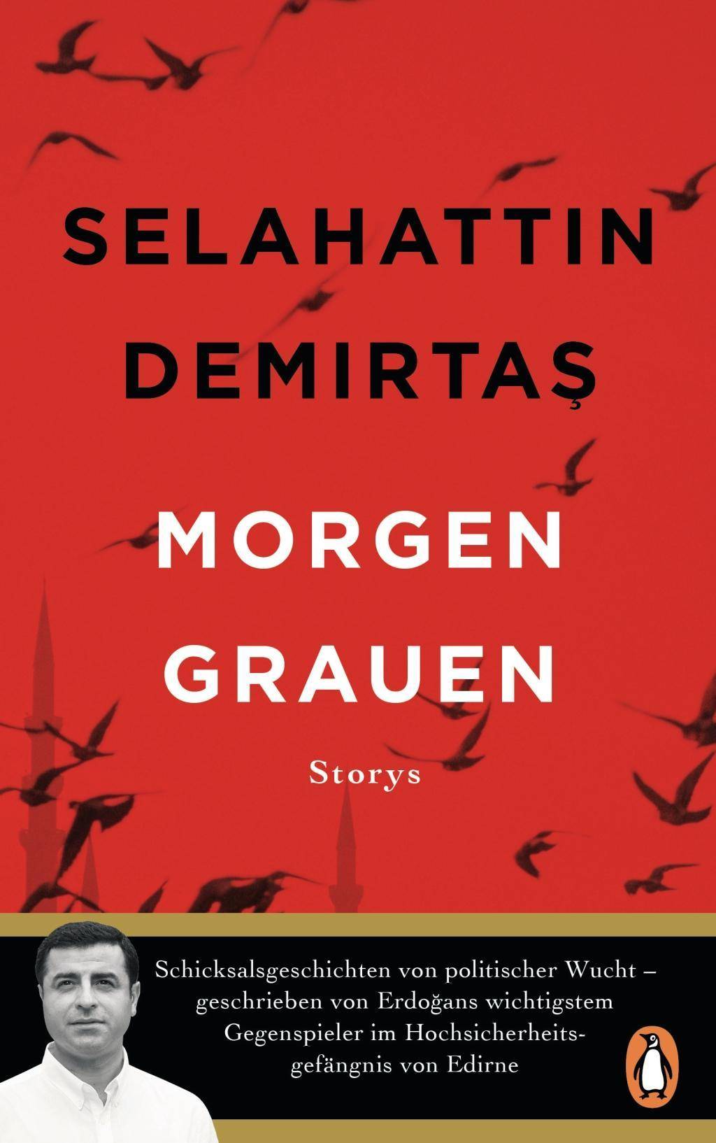 Morgengrauen Storys