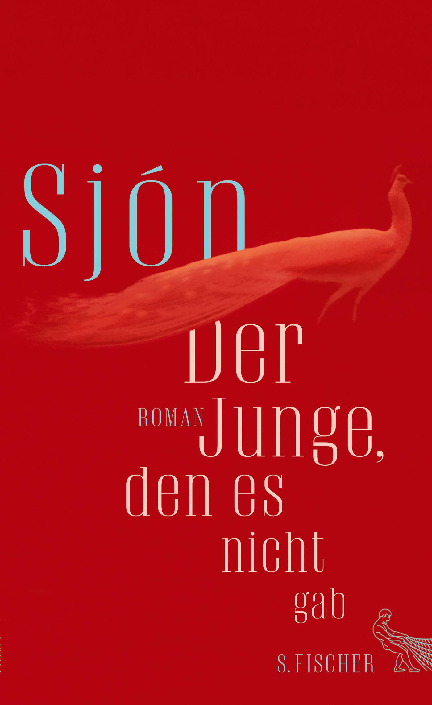 Der Junge, den es nicht gab Roman