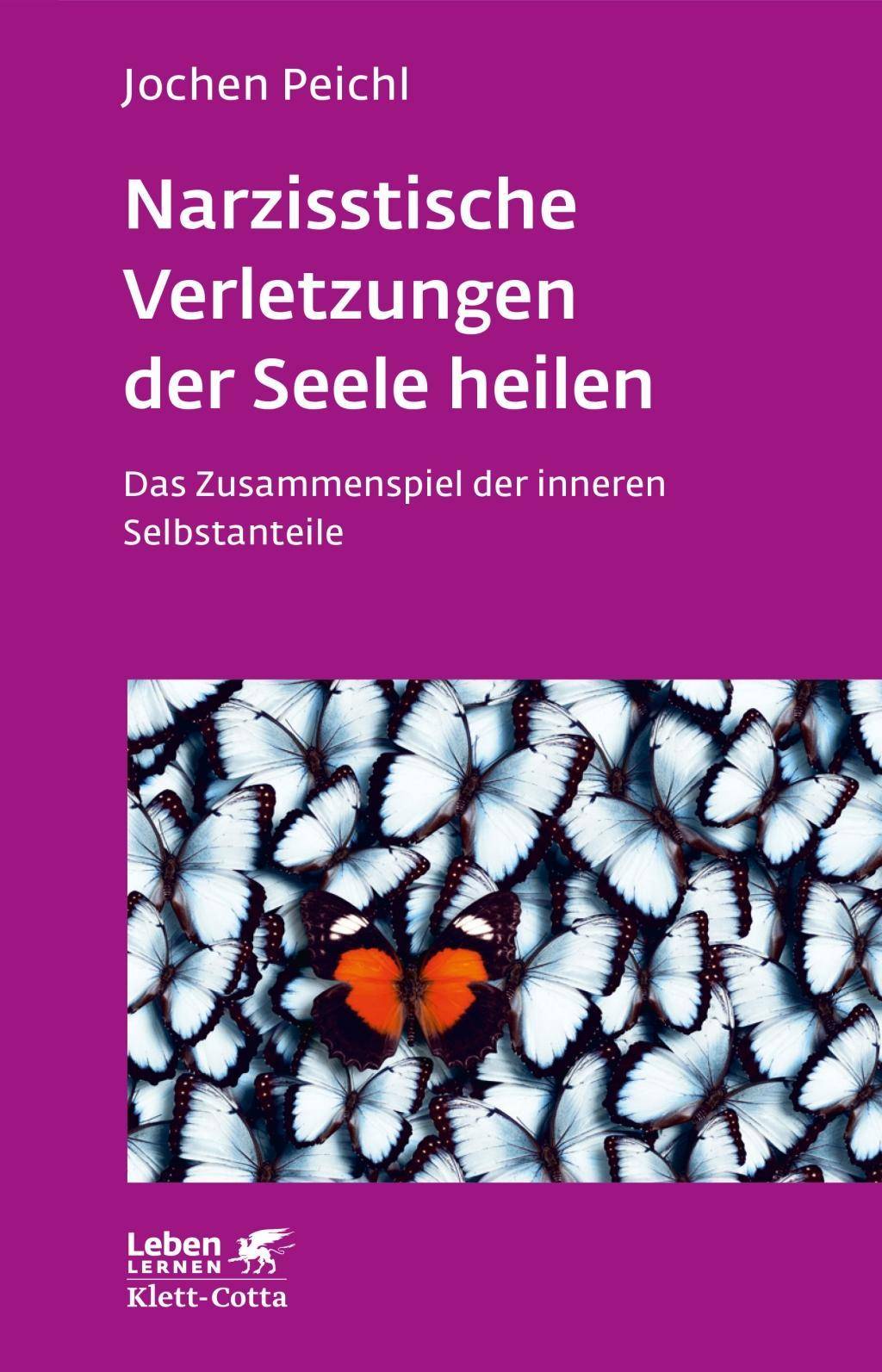 Narzisstische Verletzungen der Seele heilen Das Zusammenspiel der inneren Selbstanteile