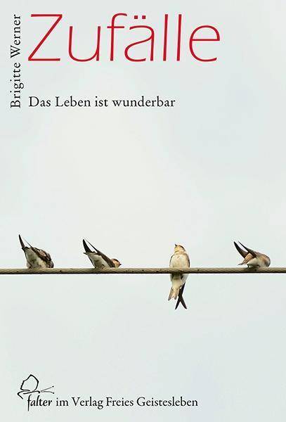 Zufälle Das Leben ist wunderbar