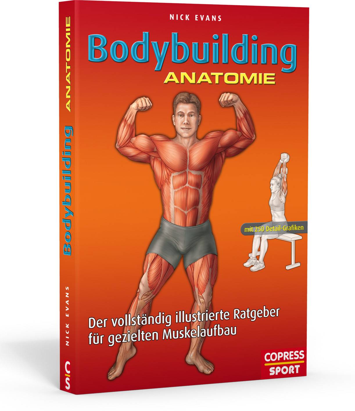 Bodybuilding Anatomie Der vollständig illustrierte Ratgeber für gezielten Muskelaufbau