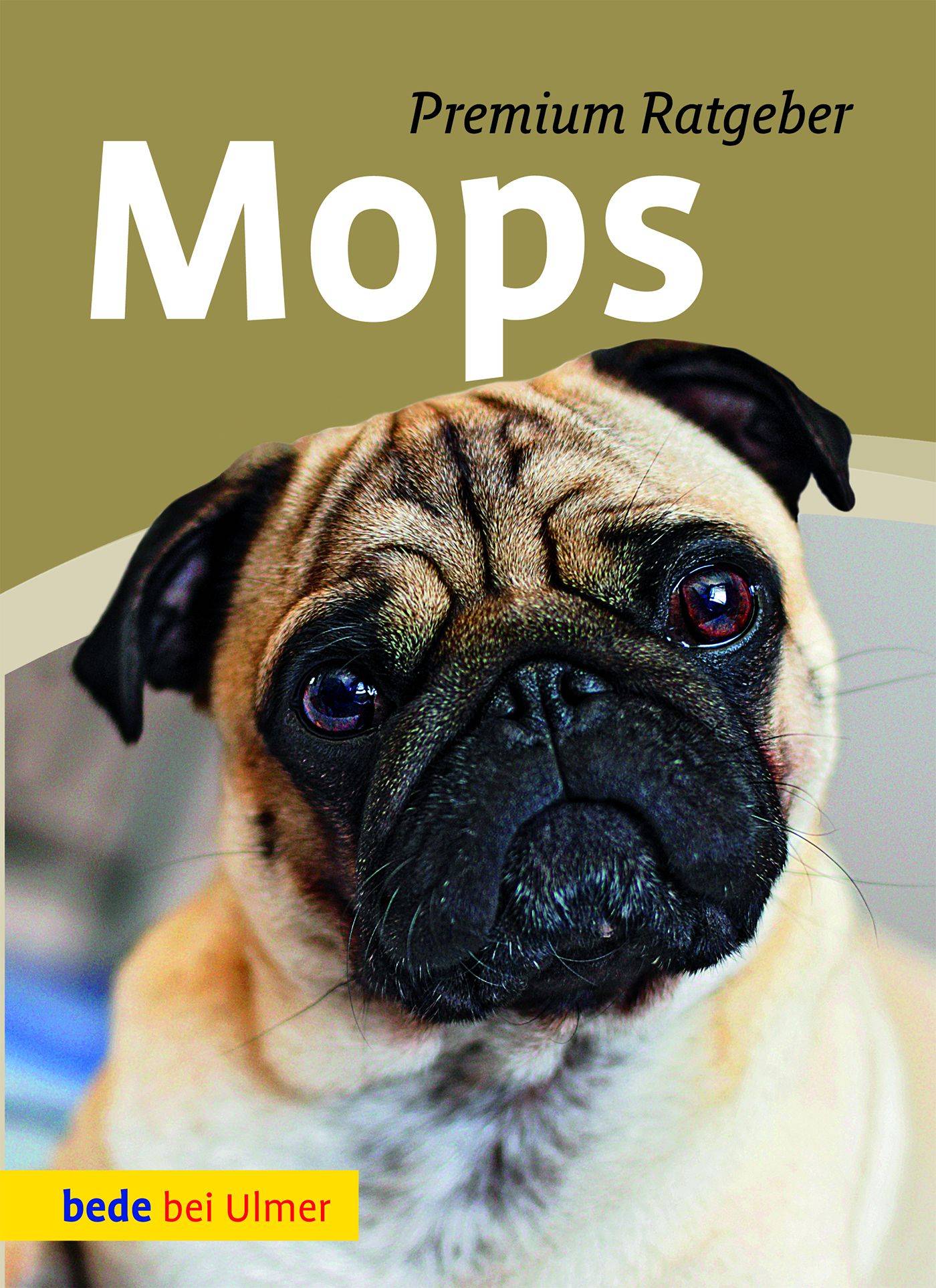 Mops Premium Ratgeber - bede bei Ulmer