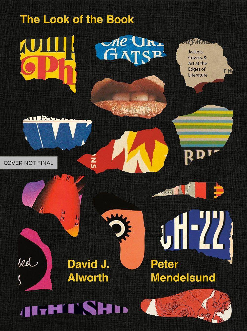 The Look of the Book Jackets, Covers, and Art at the Edges of Literature