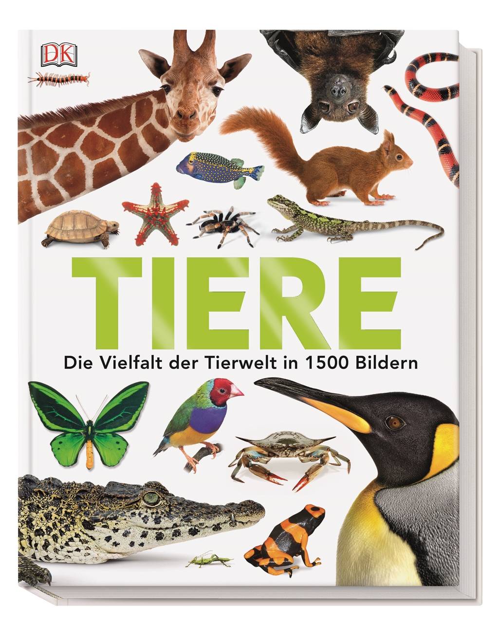 Tiere Säugetiere, Vögel, Fische, Reptilien und Insekten
