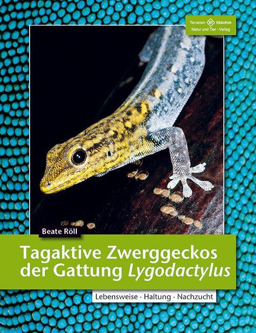 Tagaktive Zweggeckos der Gattung Lygodactylus Lebensweise, Haltung, Nachzucht