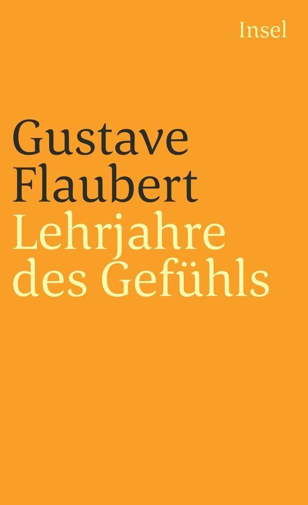 Lehrjahre des Gefühls Geschichte eines jungen Mannes. Roman