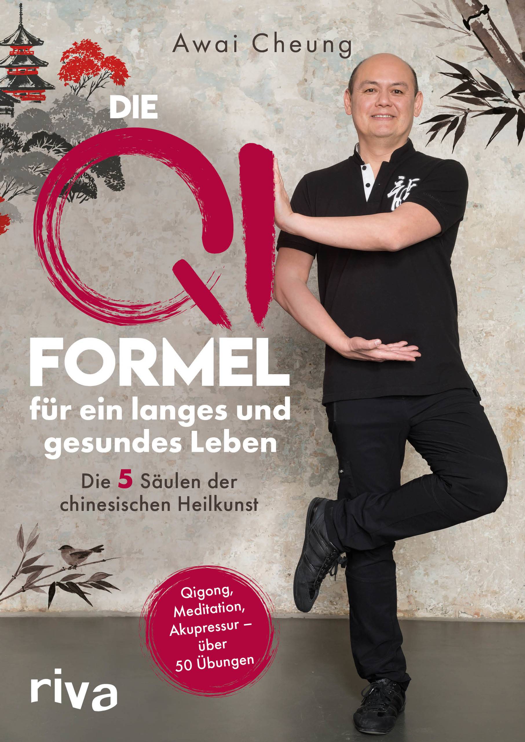 Die Qi-Formel für ein langes und gesundes Leben Die fünf Säulen der chinesischen Heilkunst. Qigong, Meditation, Akupressur - über 50 Übungen