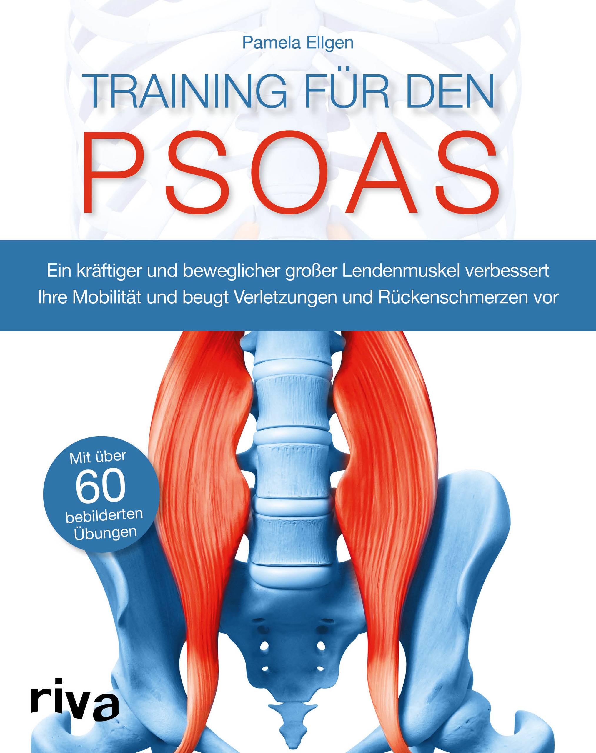 Training für den Psoas Ein kräftiger und beweglicher großer Lendenmuskel verbessert Ihre Mobilität und beugt Verletzungen und Rückenschmerzen vor