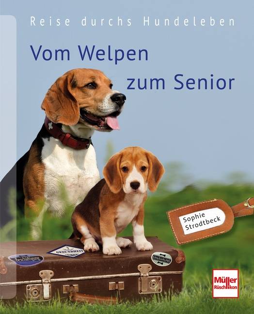Vom Welpen zum Senior Reise durchs Hundeleben