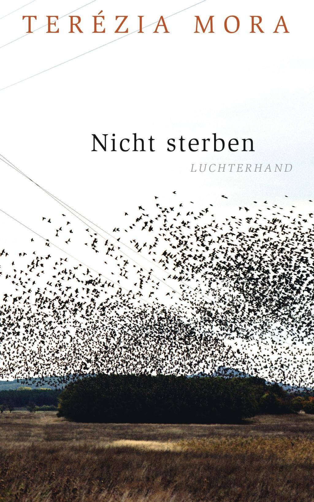 Nicht sterben Frankfurter Poetik-Vorlesungen