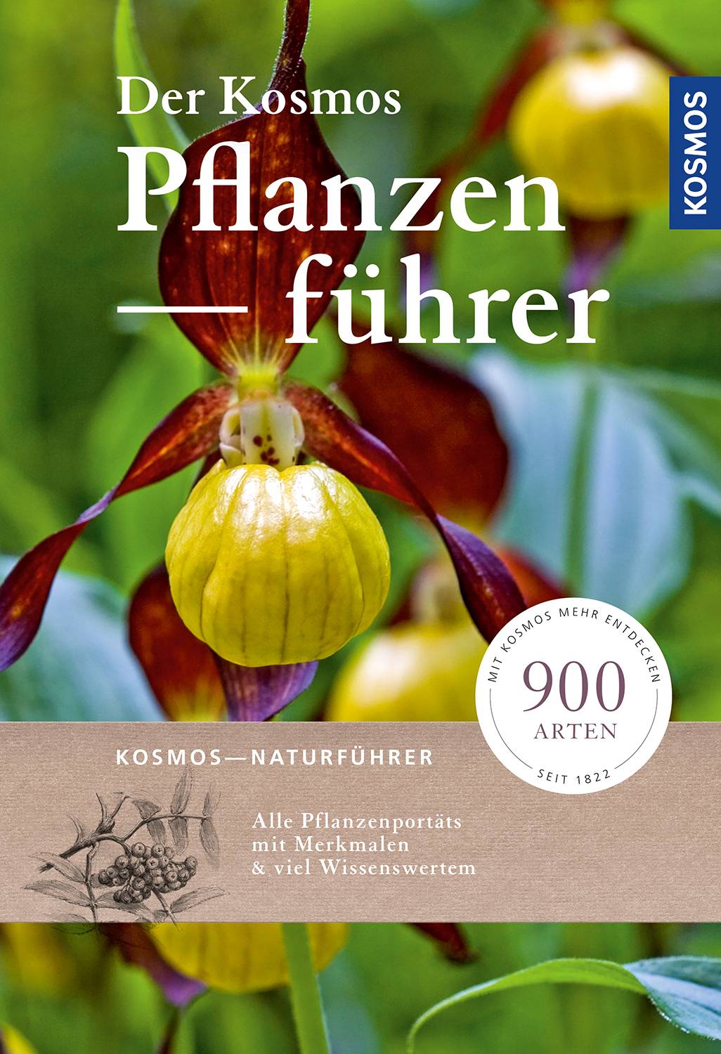 Der Kosmos-Pflanzenführer Über 900 Blumen, Bäume und Pilze, 1200 Abbildungen