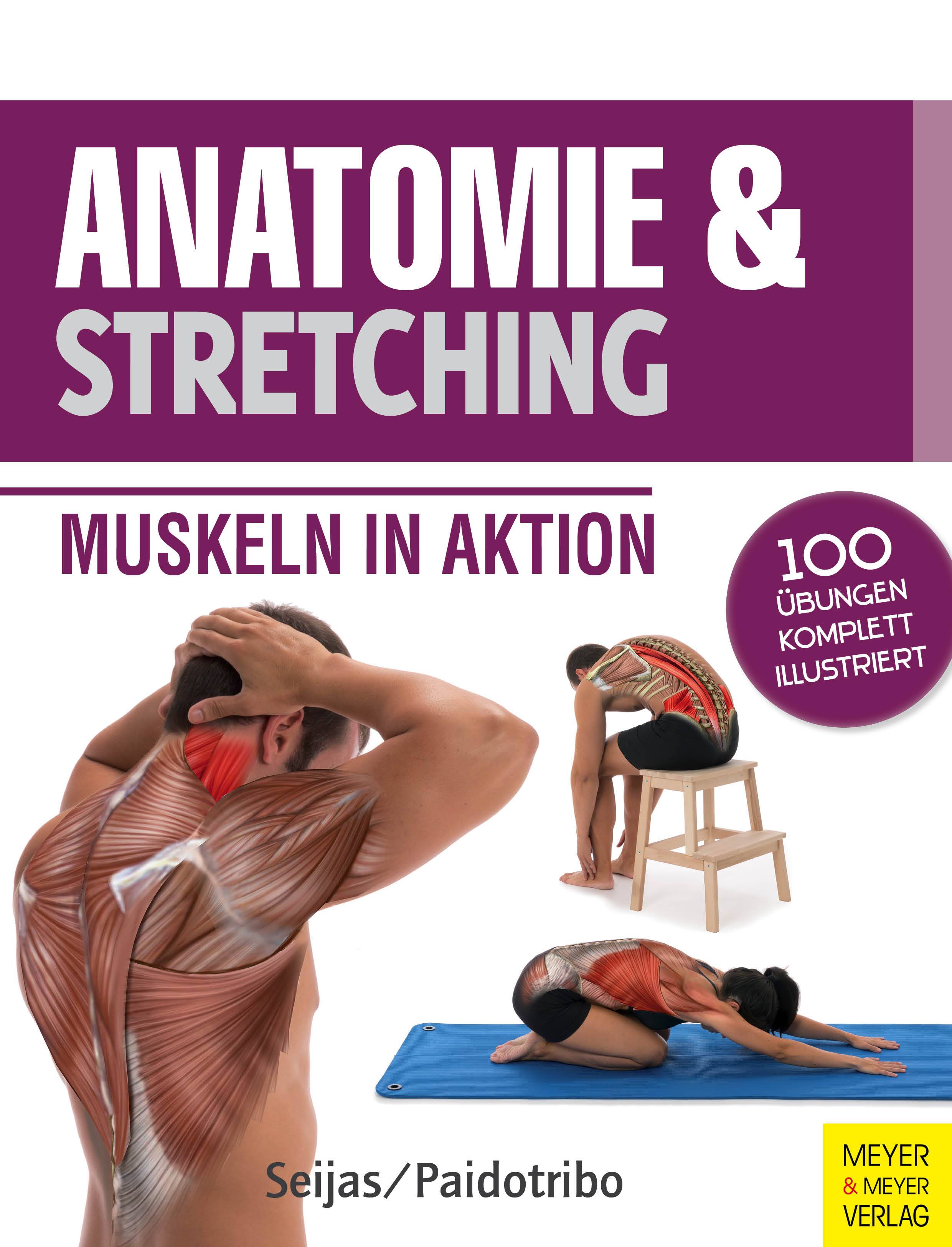 Anatomie & Stretching Muskeln in Aktion. 100 Übungen komplett illustriert
