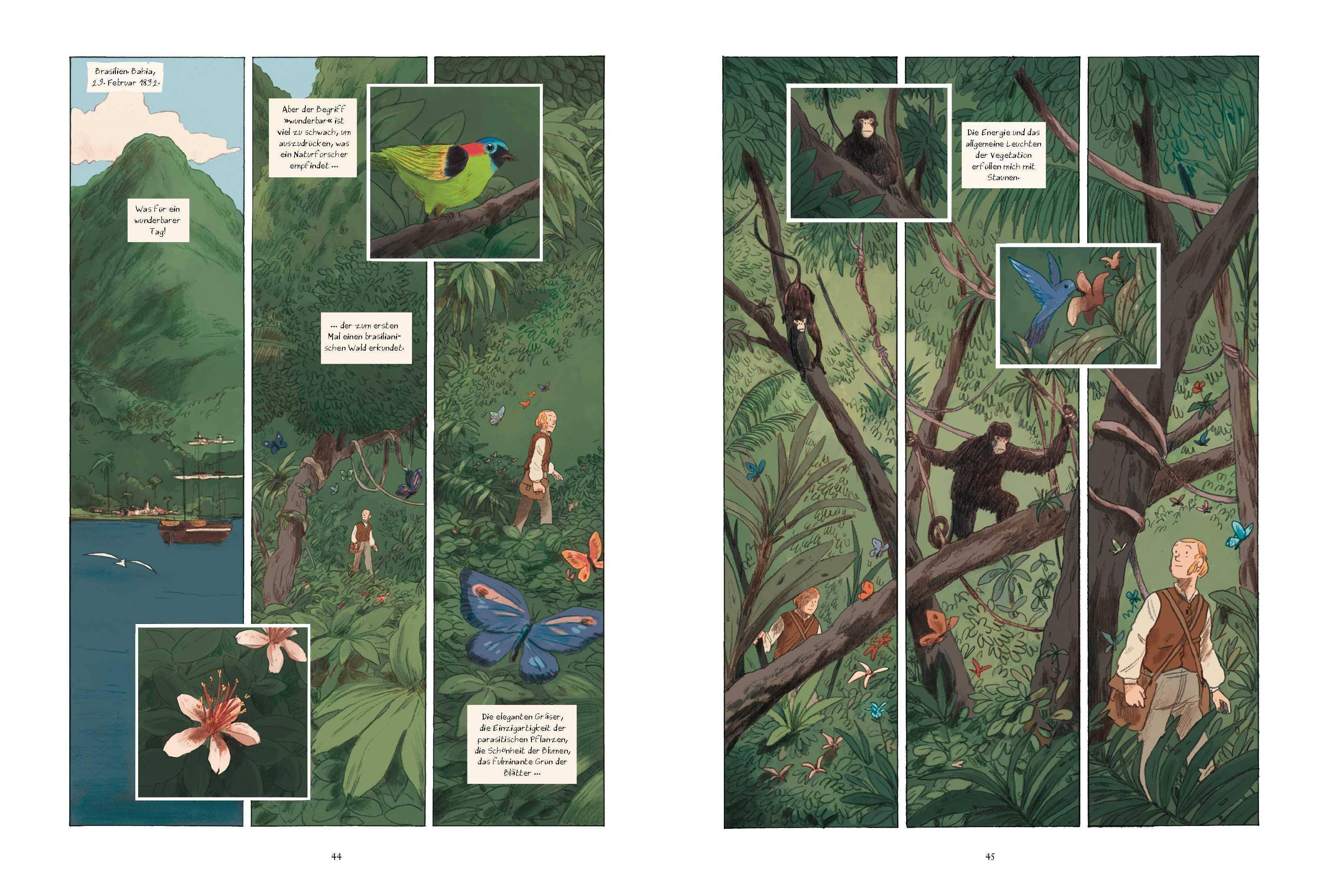 Charles Darwin und die Reise auf der HMS Beagle Die Comic-Biografie