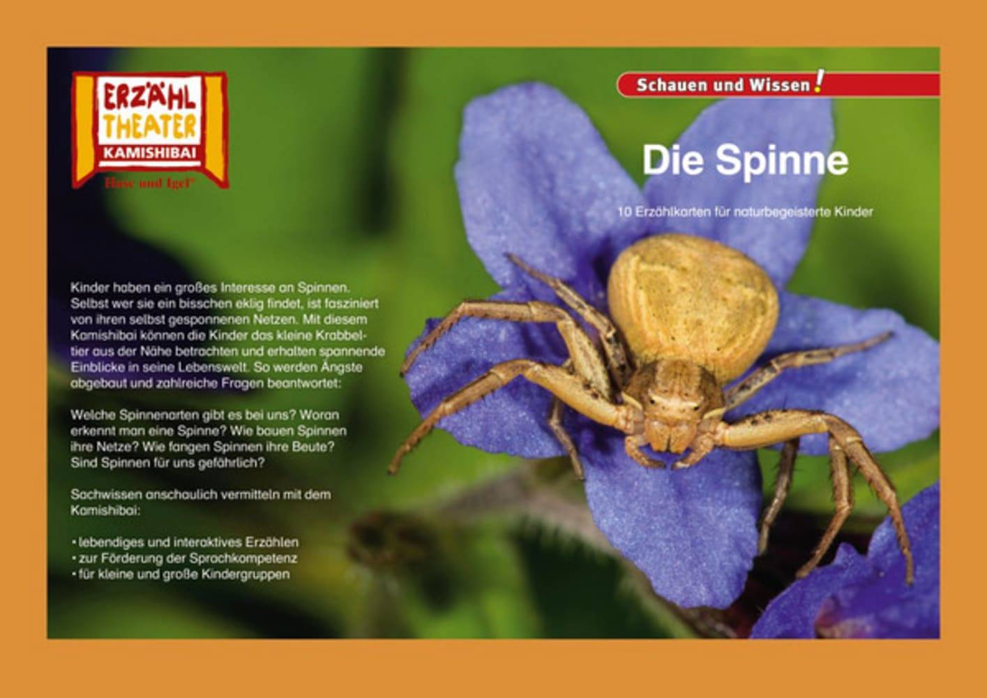 Kamishibai: Die Spinne 10 Fotobildkarten für das Erzähltheater