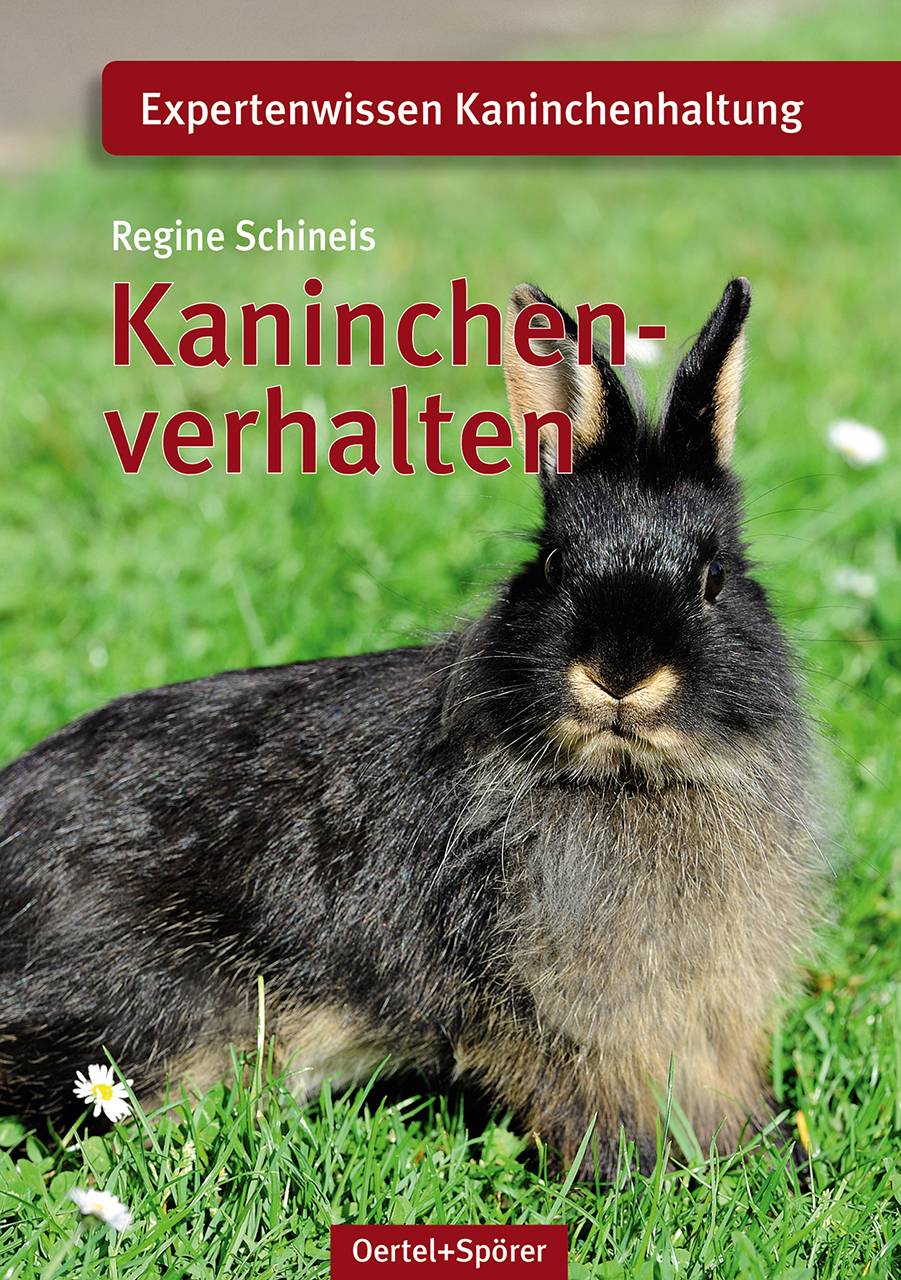 Kaninchenverhalten Expertenwissen Kaninchenhaltung