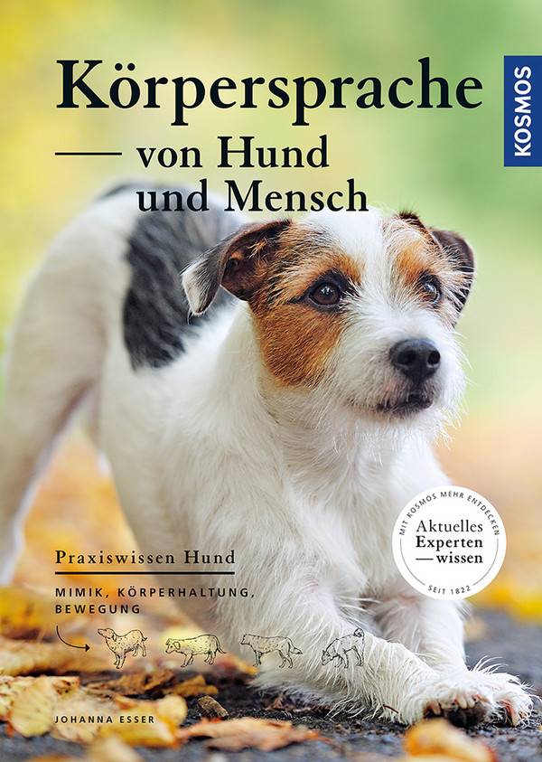 Körpersprache von Hund und Mensch Mimik, Körperhaltung, Bewegung
