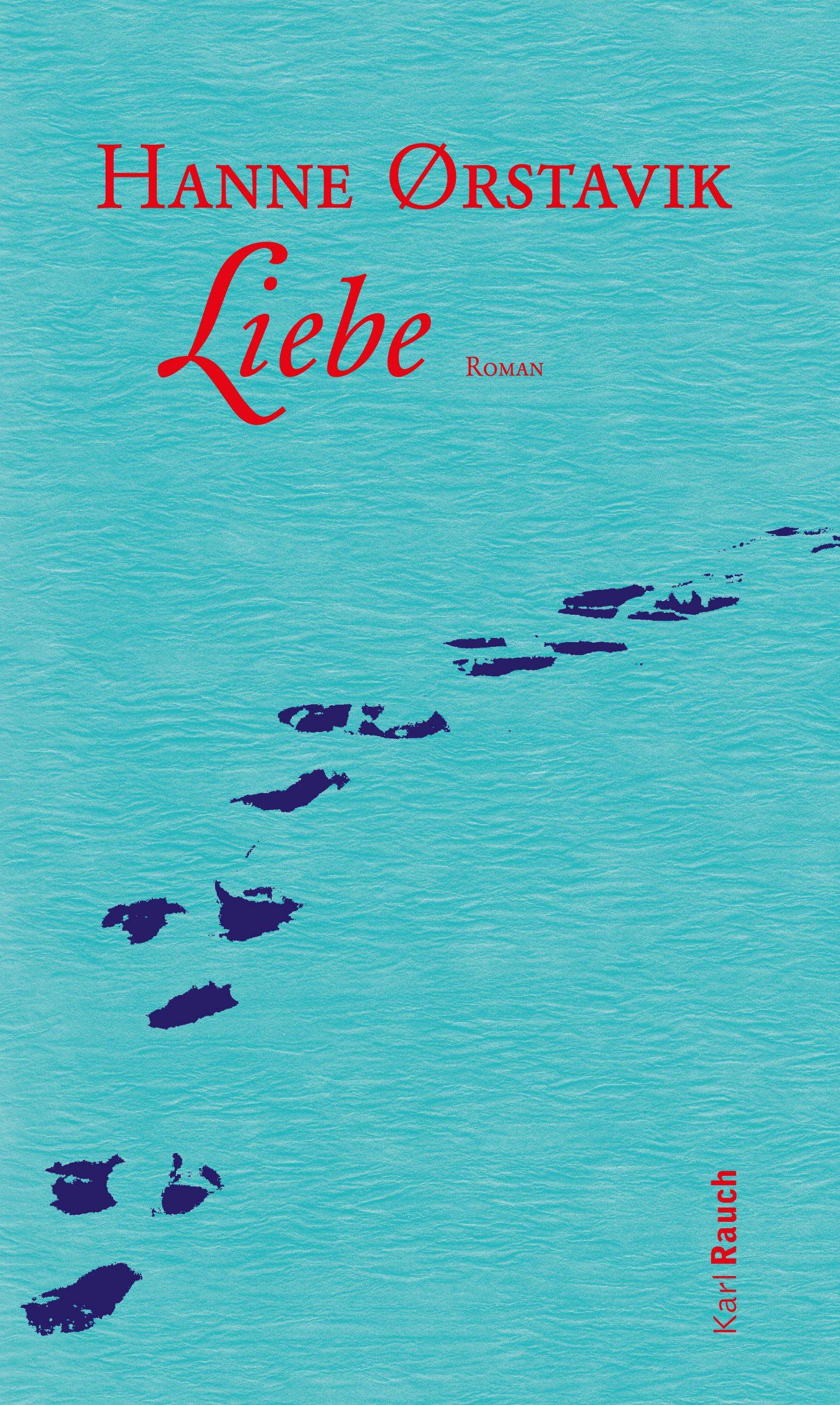 Liebe Roman