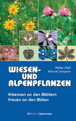 Wiesen- und Alpenpflanzen Erkennen an den Blättern Freuen an den Blüten