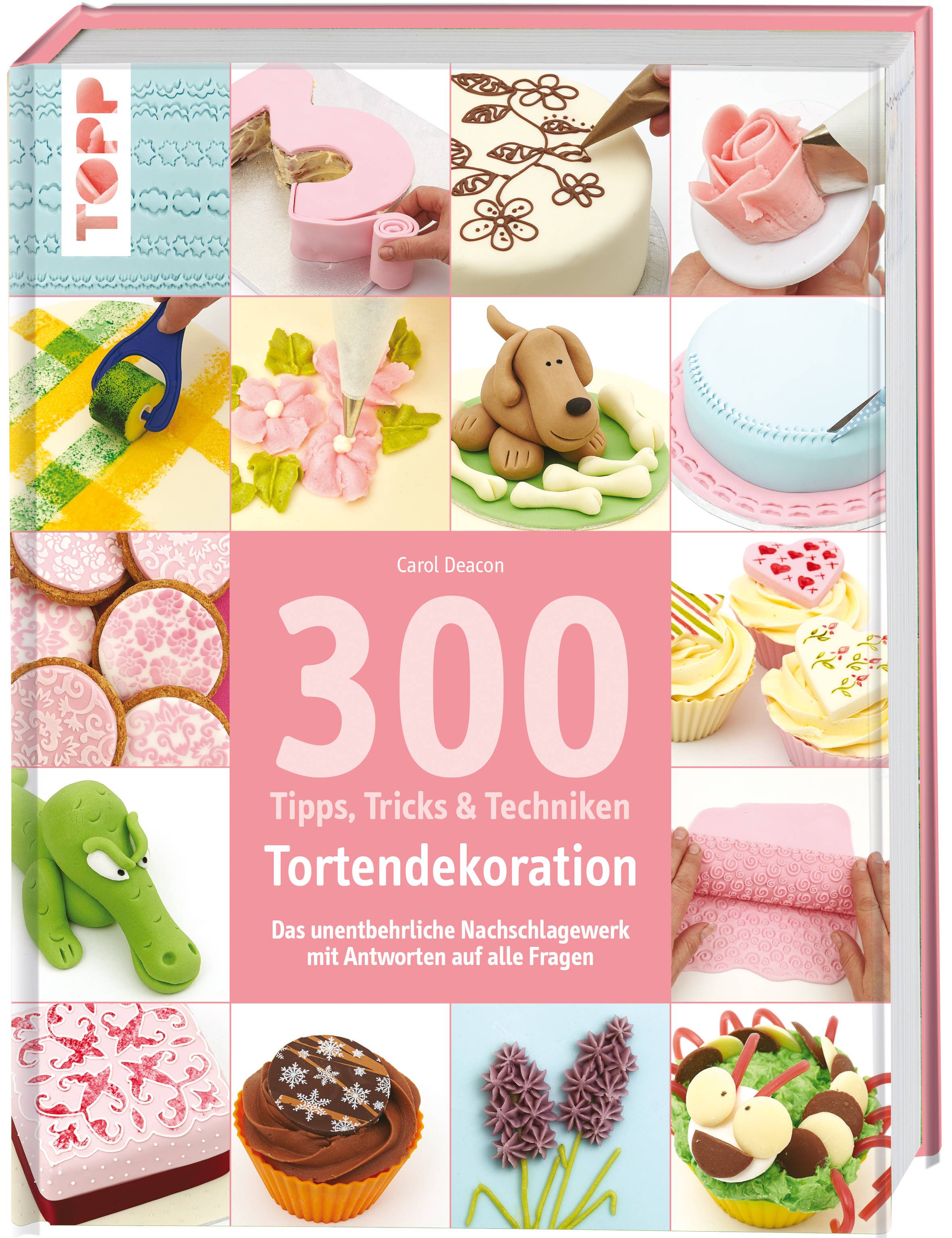 300 Tipps, Tricks & Techniken - Tortendekoration Das unentbehrliche Nachschlagewerk mit Antworten auf alle Fragen