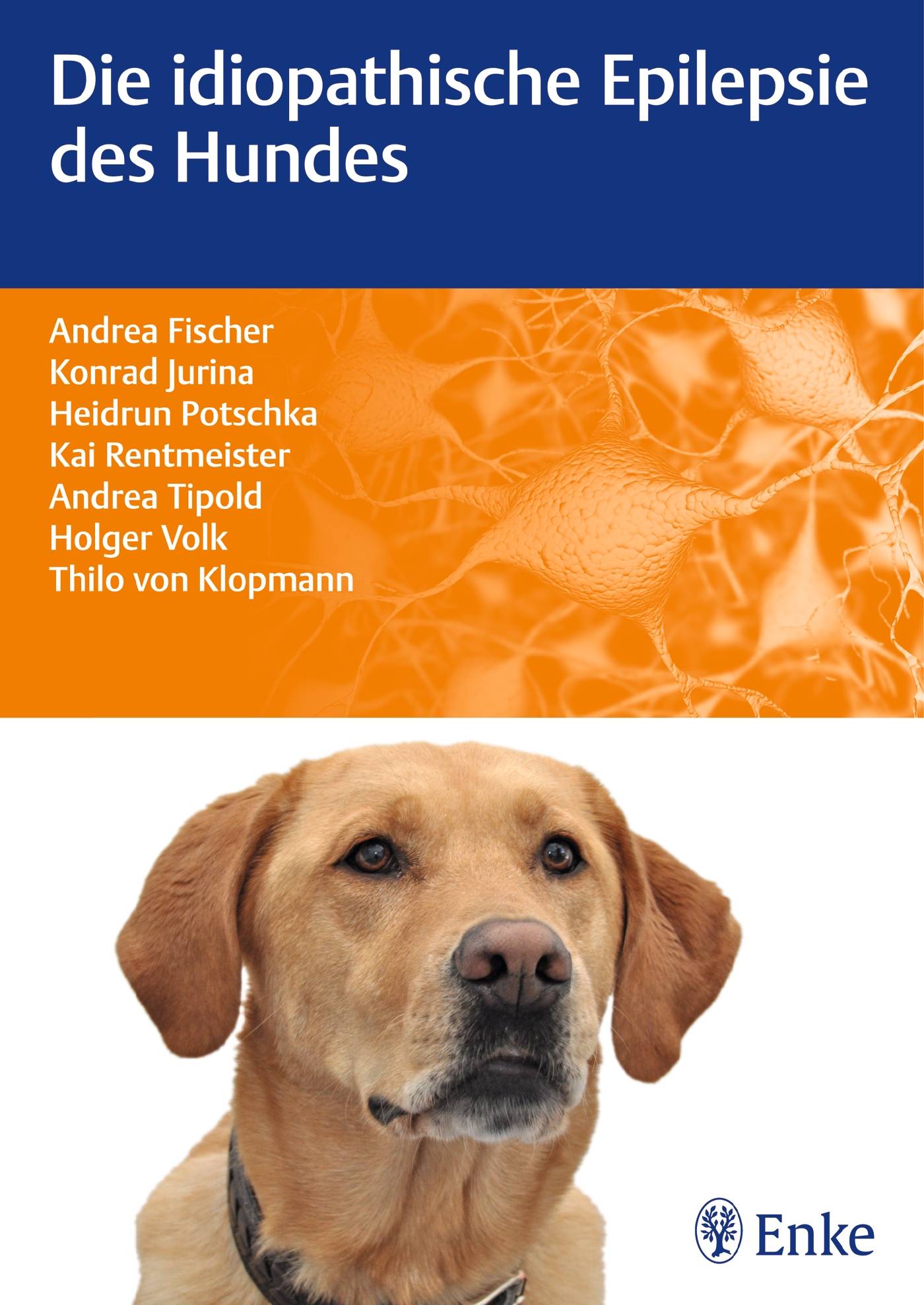 Die idiopathische Epilepsie des Hundes Fischer/Jurina/Potschka u a