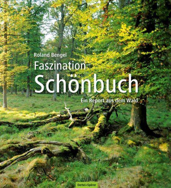 Faszination Schönbuch Ein Report aus dem Wald