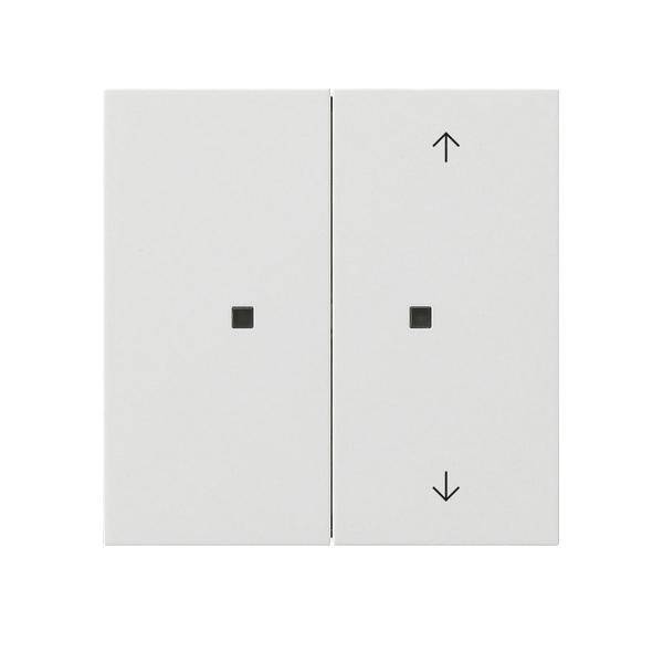Gira KNX Taster Wippe 2f rws 5175112