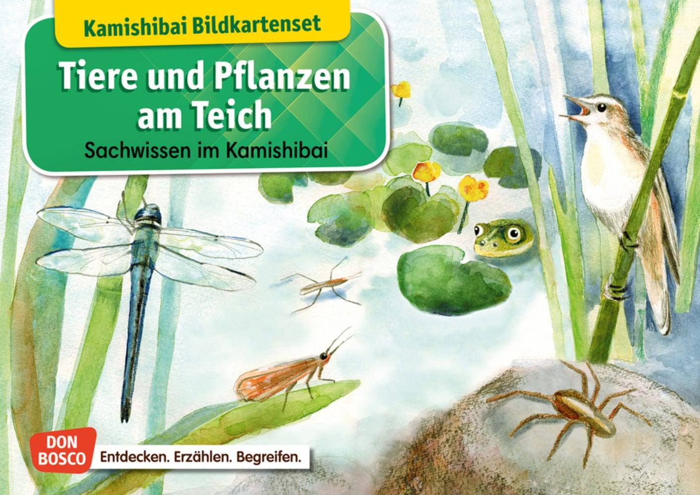 Tiere und Pflanzen am Teich. Kamishibai Bildkartenset Entdecken - Erzählen - Begreifen: Sachwissen