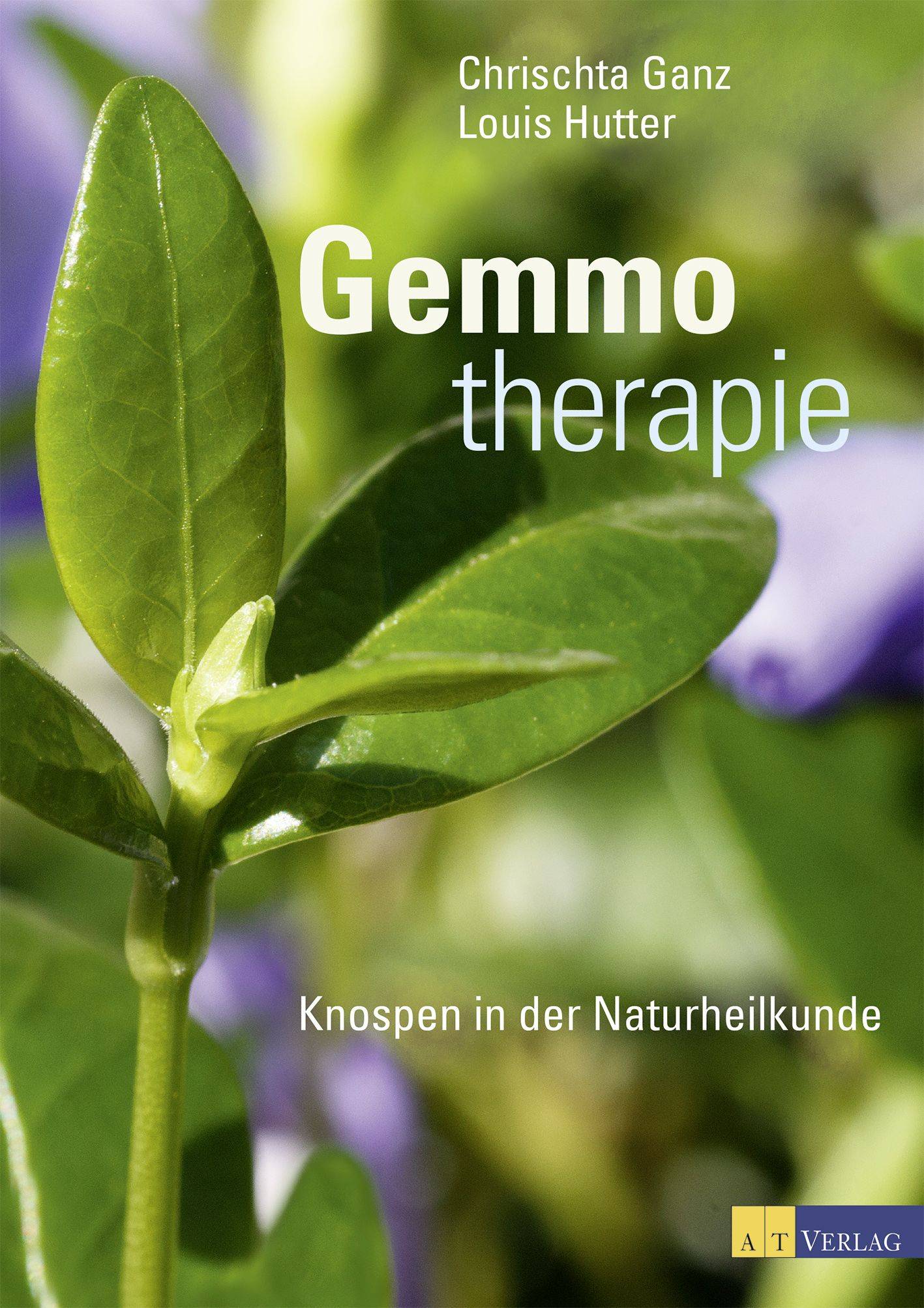 Gemmotherapie Knospen in der Naturheilkunde