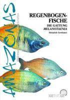 Regenbogenfische Die Gattung Melanotaenia