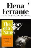 The Story of a New Name Youth, The Neapolitan Novels 2