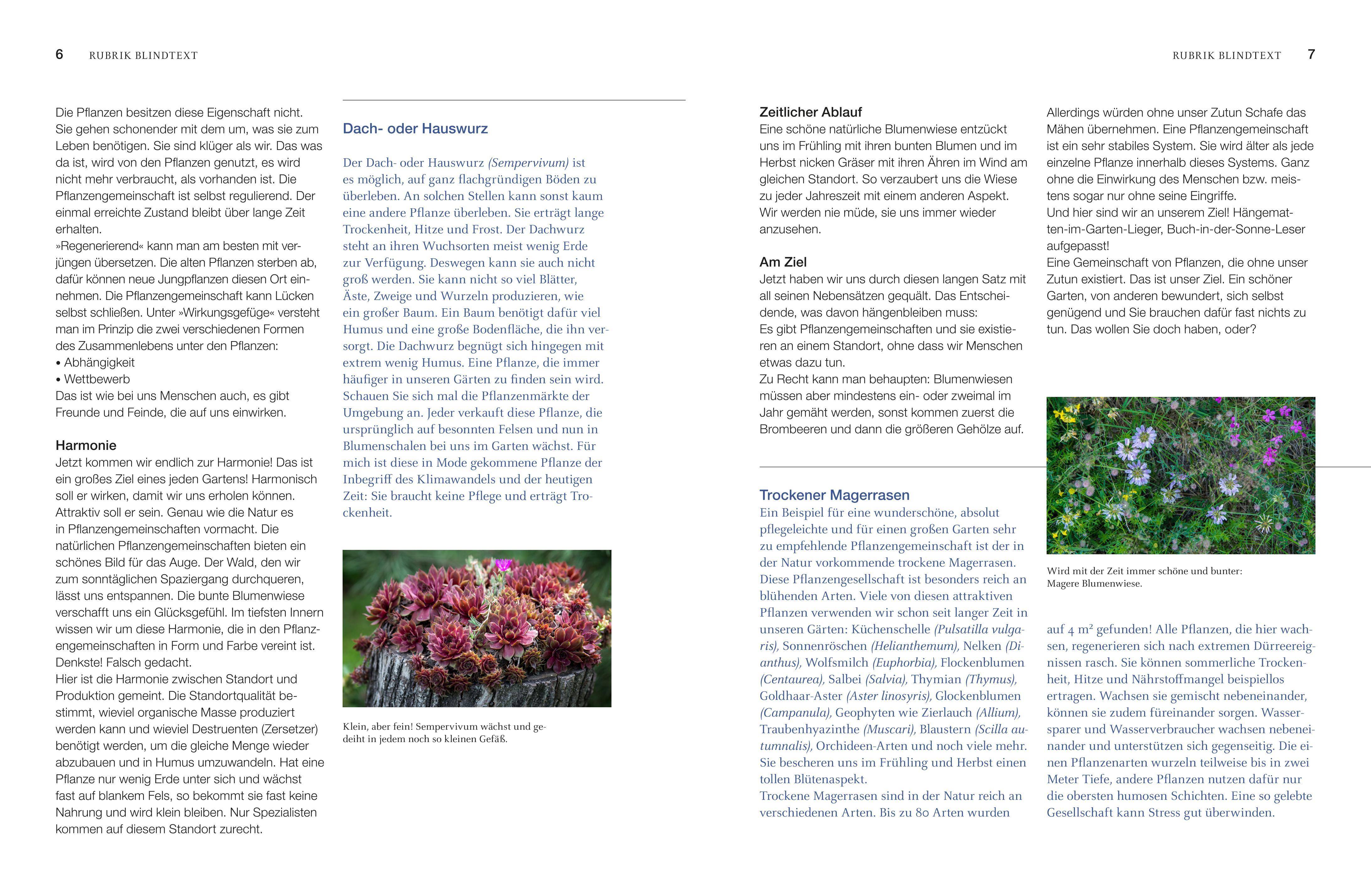 Robuste Schönheiten für den Garten Wie Sie Ihren Garten für das Klima wandeln