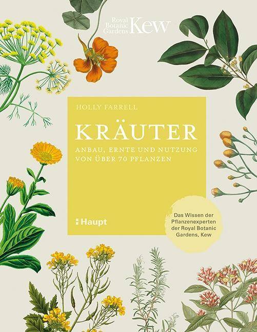 Kräuter Anbau, Ernte und Nutzung von über 70 Pflanzen