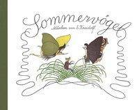 Sommervögel Märchen