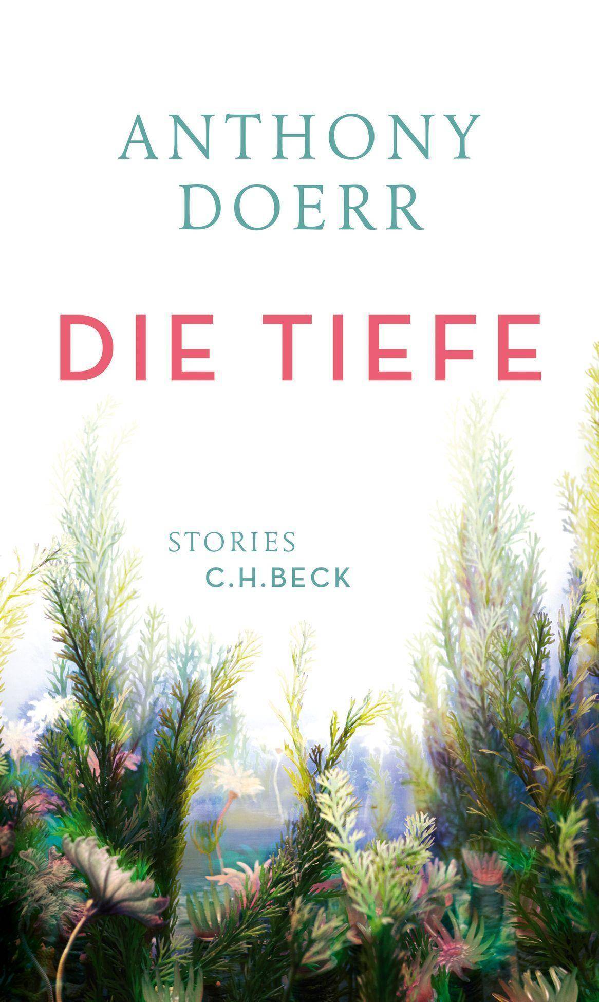 Die Tiefe Stories