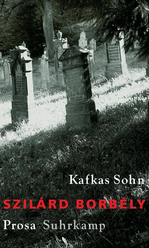 Kafkas Sohn Prosa