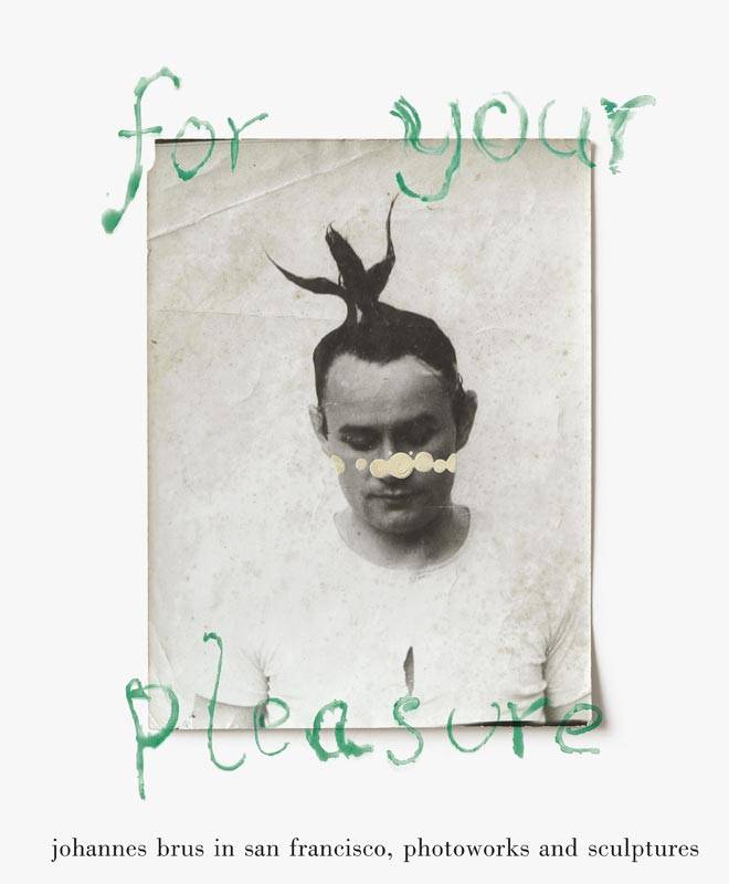 for your pleasure. johannes brus in san francisco Photo works and sculptures