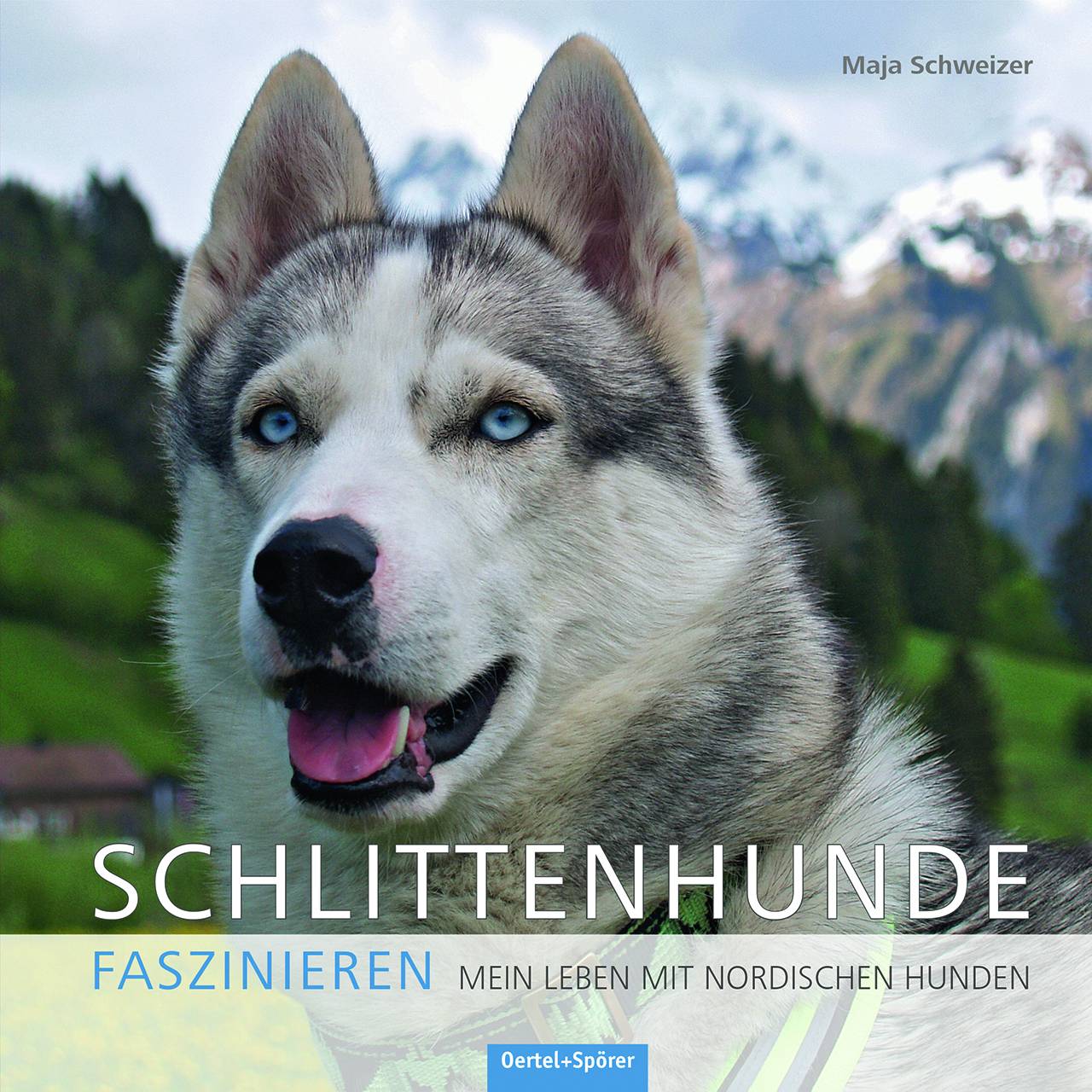 Schlittenhunde faszinieren Mein Leben mit nordischen Hunden
